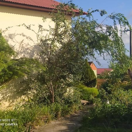 Petit Appartement Dans Une Maison Individuelle Le Tampon Kültér fotó